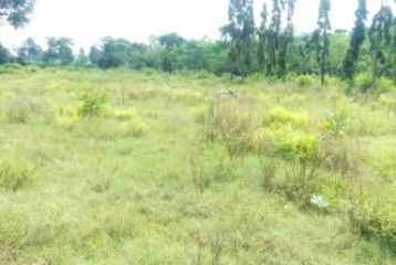 Residential plots for sale in Uttarakhand - Land for sale in Uttarakhand